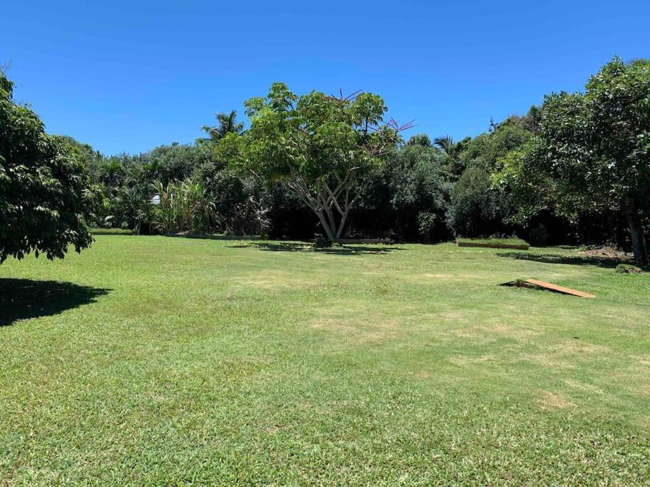 North Shore Garden